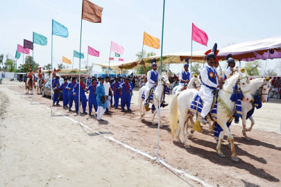 four day spring festival begins in bhakkar four day spring festival begins in bhakkar