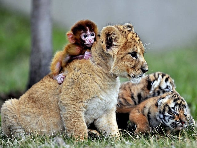 photo reuters photo reuters