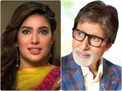 mehwish responds to amitabh s decision to turn down pakistani role