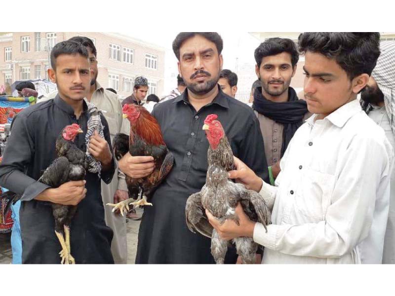 peshawar s sunday bazaar home to bloodsport