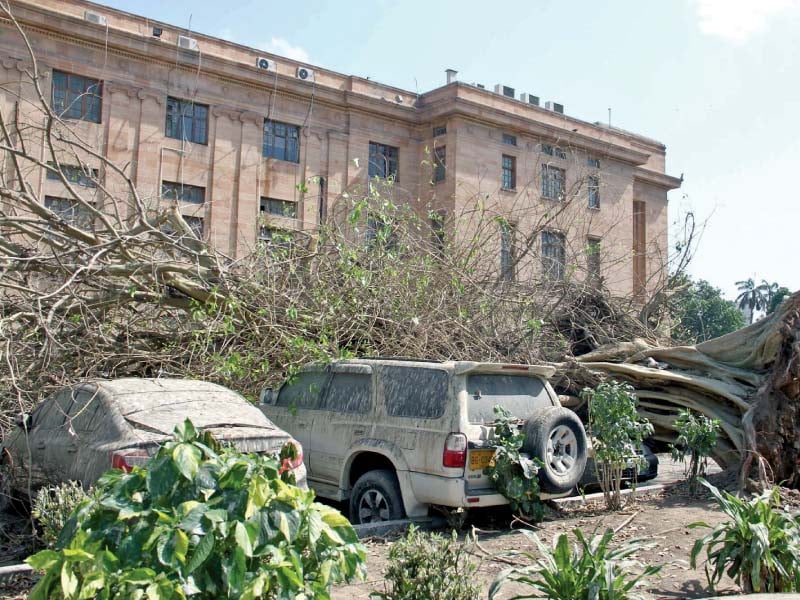 the city almost came to a standstill as the strong gusts uprooted trees and electricity poles besides damaging schools and other facilities photo ppi