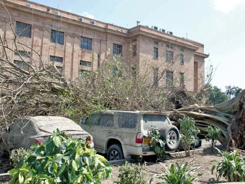 the city almost came to a standstill as the strong gusts uprooted trees and electricity poles besides damaging schools and other facilities photo ppi the city almost came to a standstill as the strong gusts uprooted trees and electricity poles besides damaging schools and other facilities photo ppi