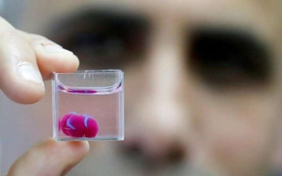 first 3d print of heart with human tissue vessels unveiled first 3d print of heart with human tissue vessels unveiled