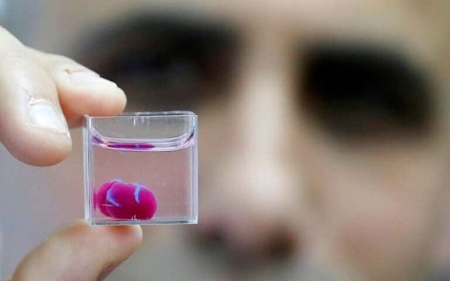 first 3d print of heart with human tissue vessels unveiled