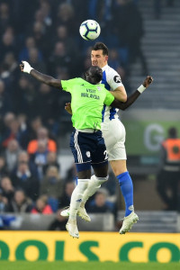 cardiff sink relegation rivals brighton cardiff sink relegation rivals brighton