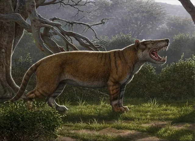 a simbakubwa kutokaafrika a gigantic mammalian carnivore that lived 22 million years ago in africa and was larger than a polar bear photo afp a simbakubwa kutokaafrika a gigantic mammalian carnivore that lived 22 million years ago in africa and was larger than a polar bear photo afp