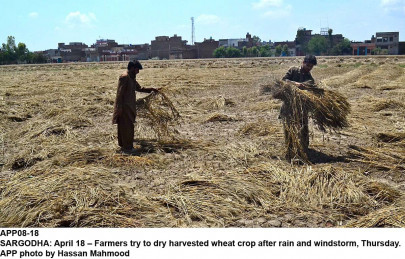 rains deal devastating blow to farm sector