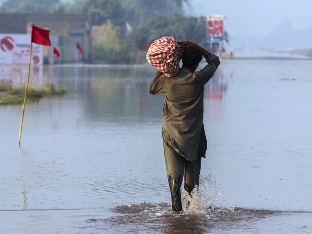 a flood victim wades through a flooded field following heavy rain in jhang on september 11 2014 photo afp