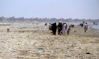 nfeh calls for national charter among centre provinces to protect environment nfeh calls for national charter among centre provinces to protect environment