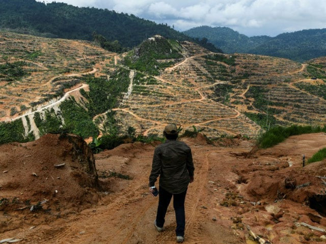 the report finds that three quarters of land surfaces have been 039 severely altered 039 by mankind including through deforestation photo afp the report finds that three quarters of land surfaces have been 039 severely altered 039 by mankind including through deforestation photo afp