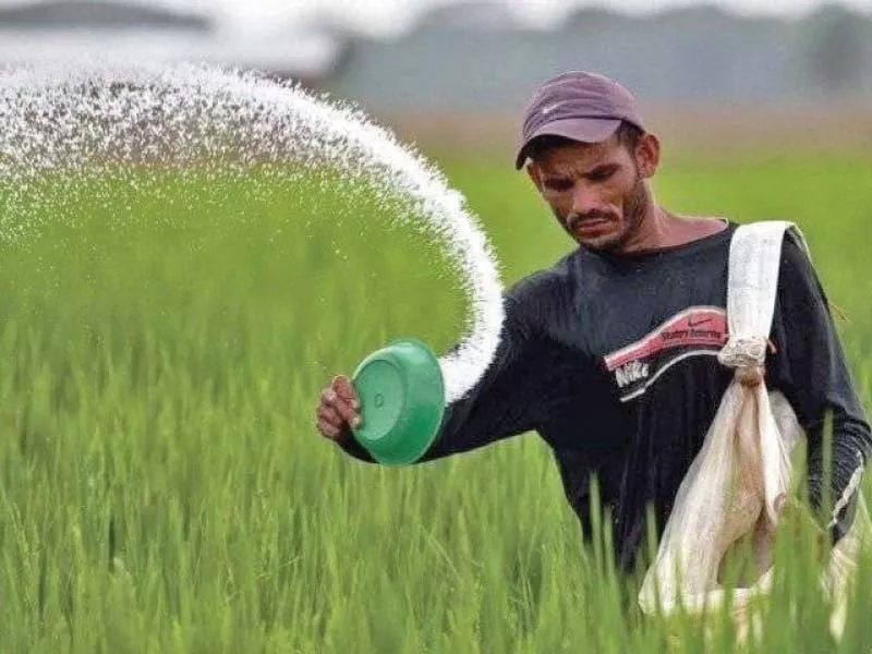 engro fertilisers made its fortunes by selling urea at old prices as opposed to fauji fertiliser which increased prices by rs70 to rs80 per bag in march an analyst said photo file engro fertilisers made its fortunes by selling urea at old prices as opposed to fauji fertiliser which increased prices by rs70 to rs80 per bag in march an analyst said photo file