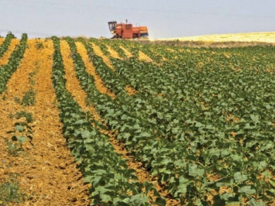 400 women receive entrepreneurial agri business training in balochistan