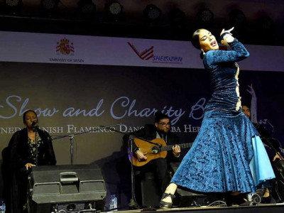 spanish flamenco dancer performs in capital spanish flamenco dancer performs in capital