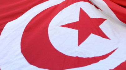 seven women farmhands killed in tunisia van crash