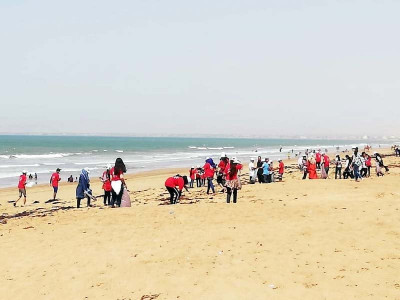 volunteers collect garbage bags during karachi beach cleaning