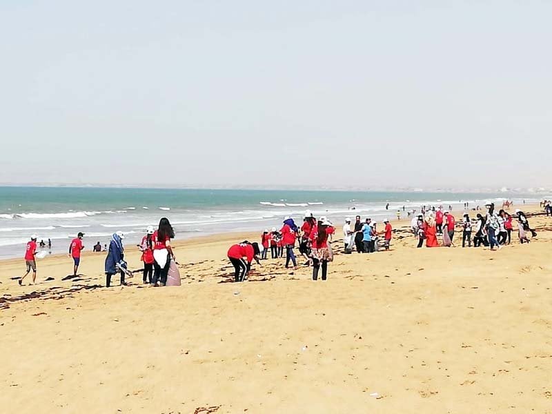 more than 800 people collected 140 garbage bags from six kilometre long coastline on saturday photo courtesy wwf pakistan