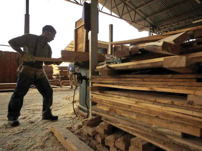 pti govt mulls over zero rated facility for wood import