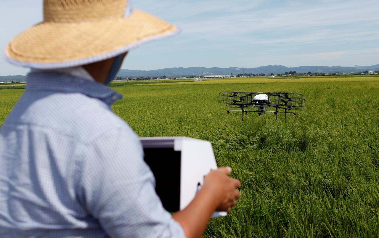 japanese farmers use drone technology photo reuters