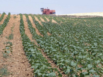 pti govt to reduce duties on raw material in budget pti govt to reduce duties on raw material in budget