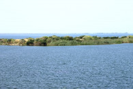 three picnickers drown in keenjhar lake