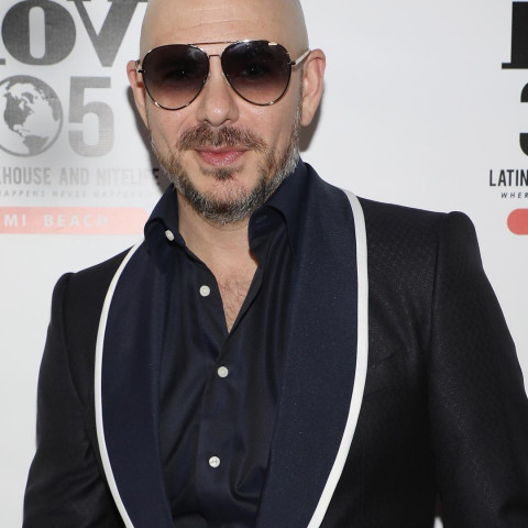 photo instagram pitbull photo instagram pitbull