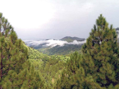 two people rescued from islamabad hiking trail