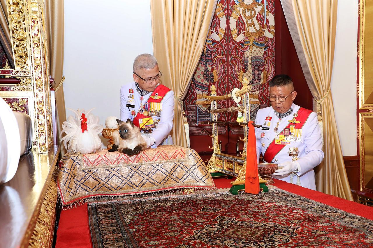 fake mews confusion over cat at thai king 039 s coronation ceremony photo reuters