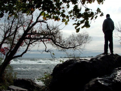 stuck in the concrete jungle of the corporate world with nowhere left to go stuck in the concrete jungle of the corporate world with nowhere left to go