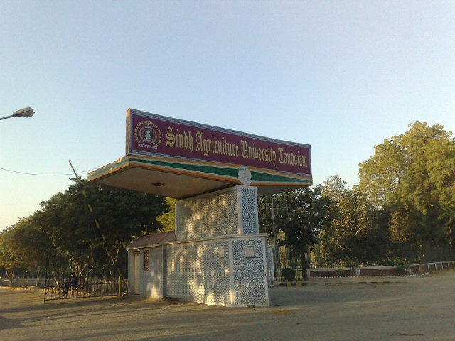 sindh agricultural university tando jam sindh agricultural university tando jam