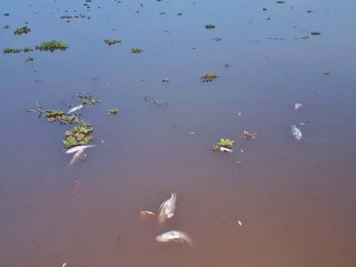 rawal lake poisoning case adjourned