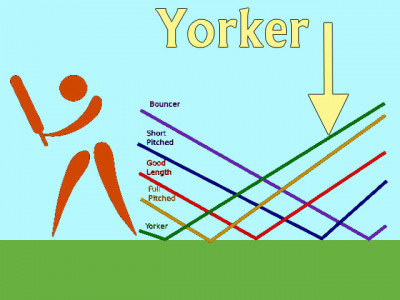 so what if gul won the t20i performance of the year award we still need to bring back our yorkers so what if gul won the t20i performance of the year award we still need to bring back our yorkers
