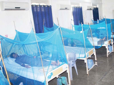 allied hospitals receive eight more dengue patients