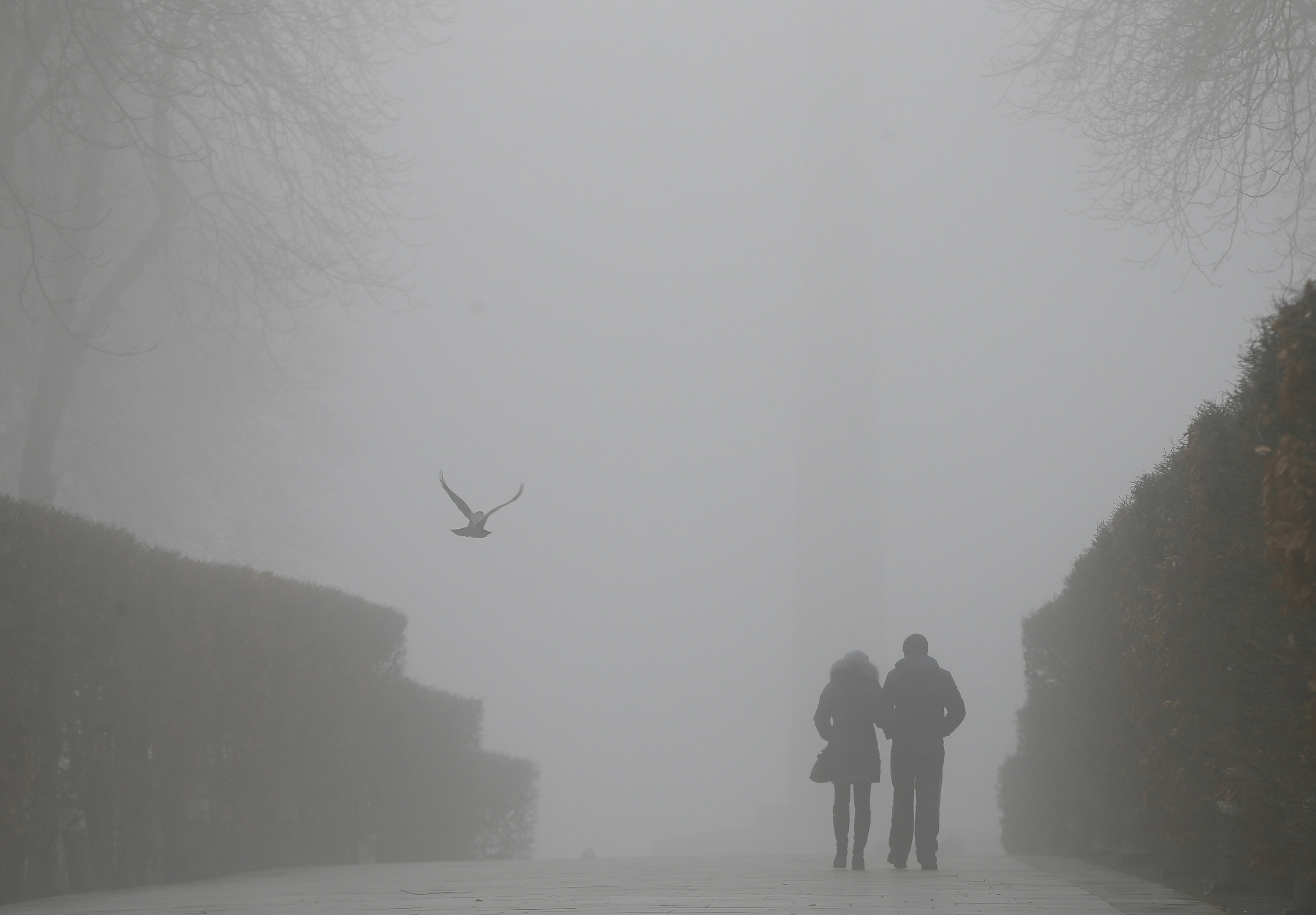 a reuters file photo showing a couple as they walk