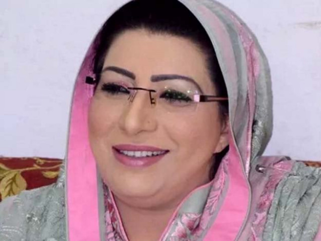 special assistant to prime minister firdous ashiq awan photo file special assistant to prime minister firdous ashiq awan photo file