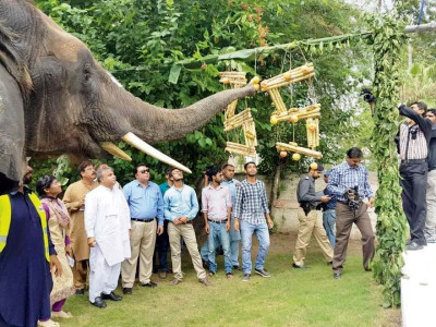 lahore zoo s elephant cage destined to remain empty lahore zoo s elephant cage destined to remain empty