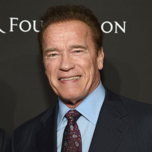 a mischievous fan drop kicked arnold schwarzenegger a mischievous fan drop kicked arnold schwarzenegger