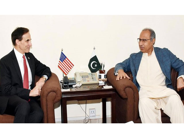 us diplomat paul w jones calls on pm 039 s adviser on finance hafeez shaikh