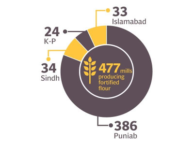 nutritional challenge uncertain future of food fortification programme