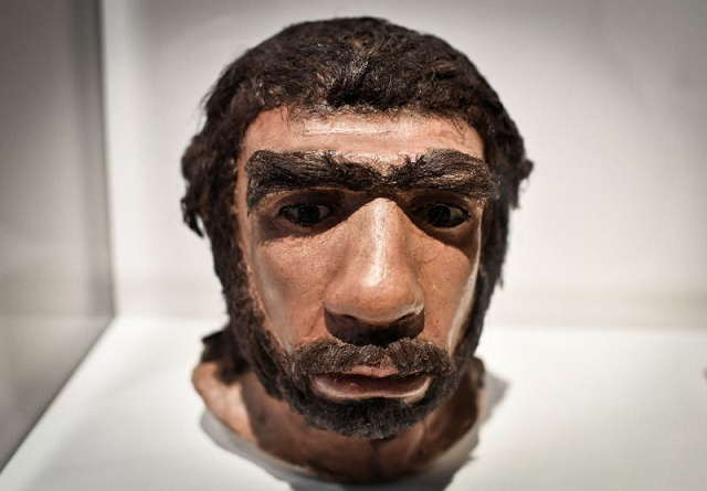 neanderthals our closest human relatives lived across europe between around 400 000 to 40 000 years ago their disappearance coinciding with the arrival of homo sapiens on the continent photo afp neanderthals our closest human relatives lived across europe between around 400 000 to 40 000 years ago their disappearance coinciding with the arrival of homo sapiens on the continent photo afp