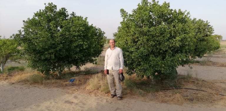 hassan abdullah has pioneered the use of drip irrigation on dunes in punjab photo courtesy the third pole