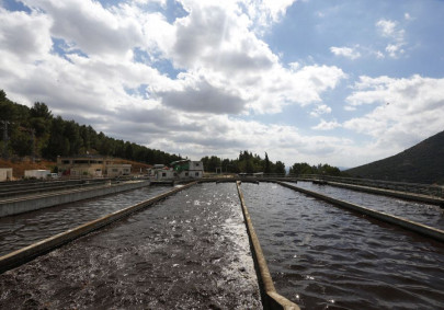 environmentalists urge centre to reconsider decision to delete s iii from psdp environmentalists urge centre to reconsider decision to delete s iii from psdp