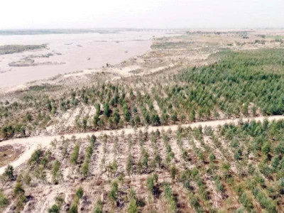 ravi bank slowly becoming green again ravi bank slowly becoming green again