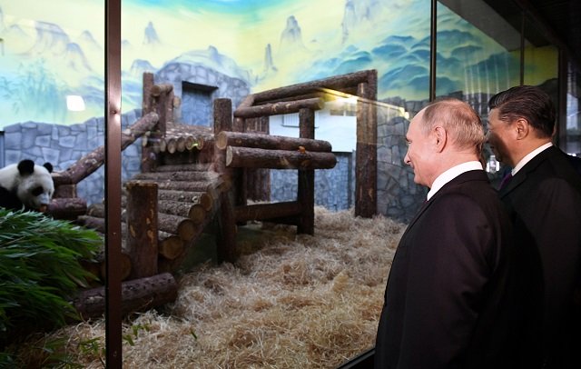russian president vladimir putin and chinese president xi jinping visit the moscow zoo which received a pair of giant pandas from china in moscow russia june 5 2019 photo reuters