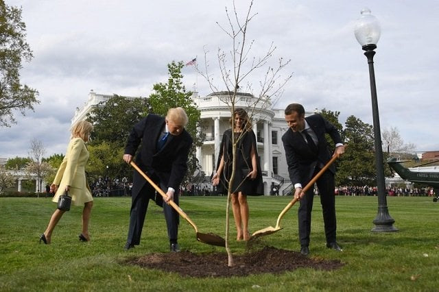 photo afp photo afp