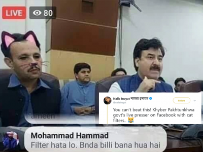 pti issues official statement on k p govt cat filter blunder pti issues official statement on k p govt cat filter blunder