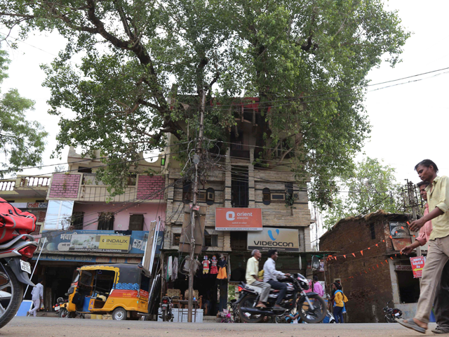 indian residents walk along a road past the house of the kesharwani family which was built around a peepal tree sacred fig tree in jabalpur in the indian state of madhya pradesh when the kesharwanis wanted to build a bigger house they didn 039 t want to cut down the holy fig tree in the courtyard so they came up with a novel solution construct the house around the tree photo reuters indian residents walk along a road past the house of the kesharwani family which was built around a peepal tree sacred fig tree in jabalpur in the indian state of madhya pradesh when the kesharwanis wanted to build a bigger house they didn 039 t want to cut down the holy fig tree in the courtyard so they came up with a novel solution construct the house around the tree photo reuters
