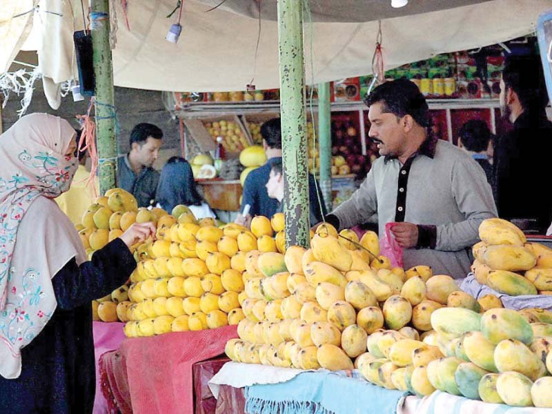 a woman buys mangoes from the weekly tuesday bazaar in islamabad photo app