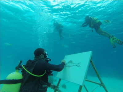this cuban artist sketches fish and coral reefs underwater this cuban artist sketches fish and coral reefs underwater
