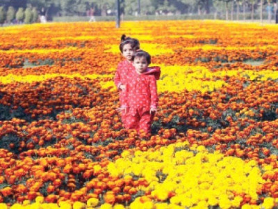 jallo park renovation to cost rs23 2 million jallo park renovation to cost rs23 2 million