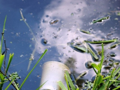 rawalpindi waste management company to expedite cleaning of 11 storm drains